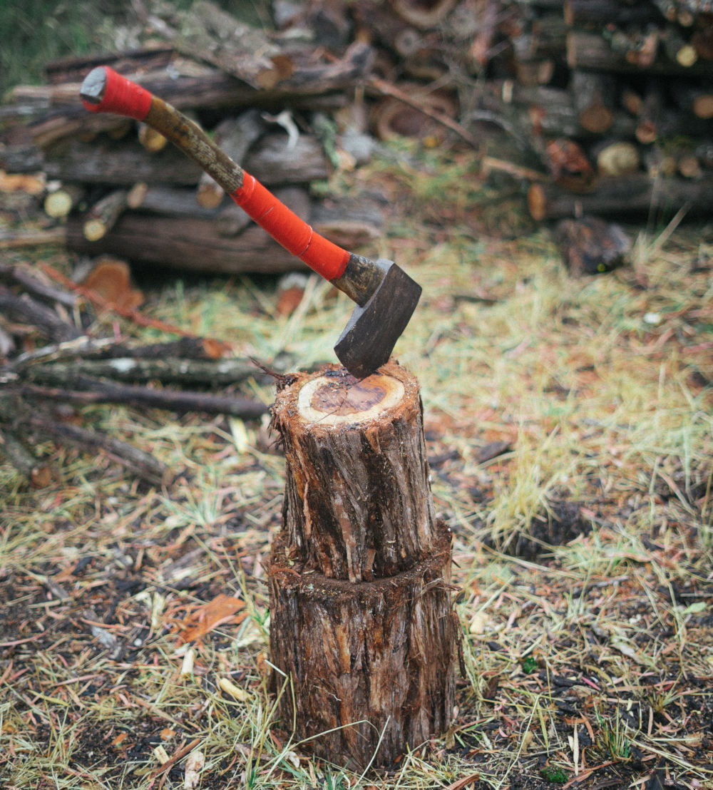 axe on log of wood