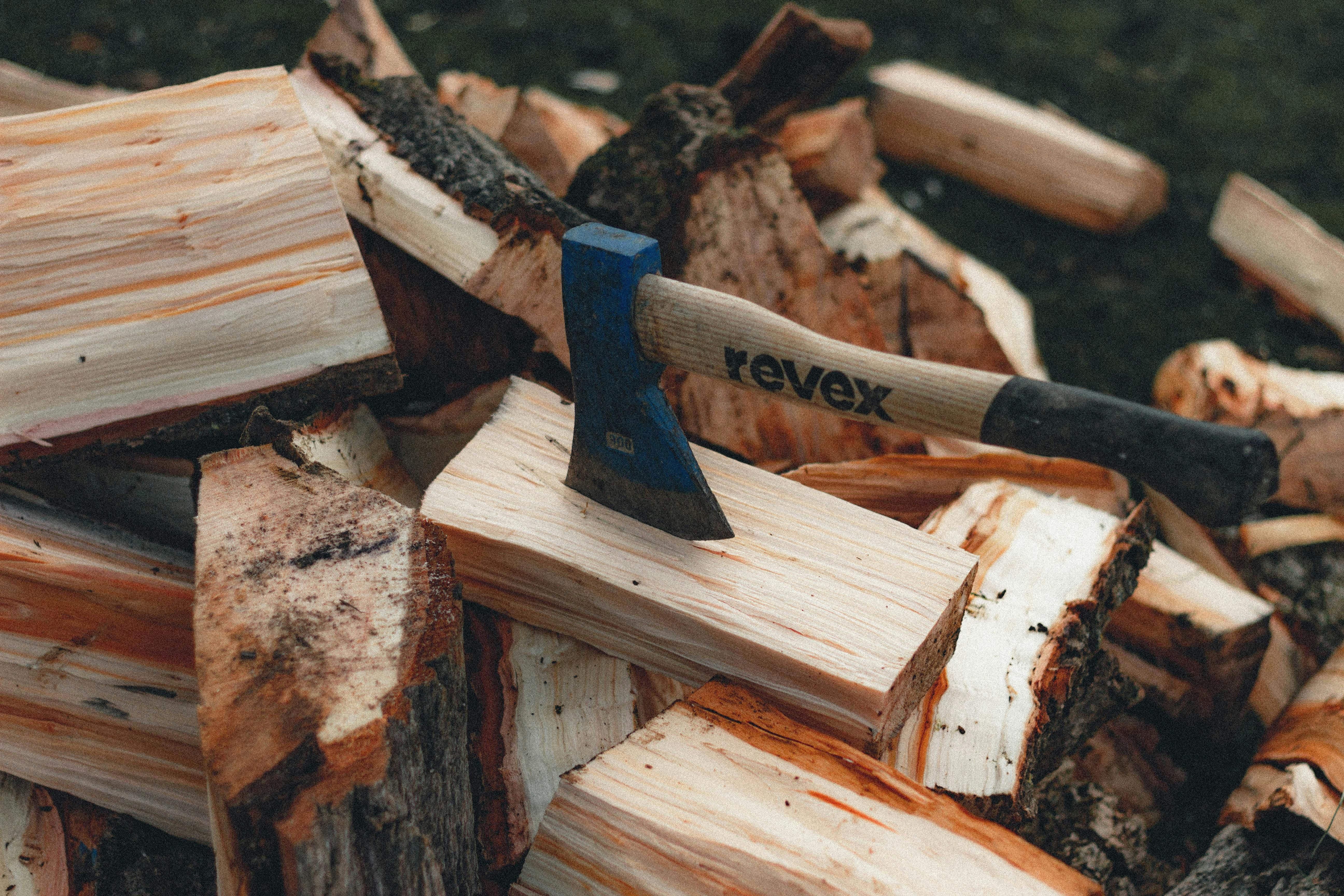 freshly cut firewood drying out