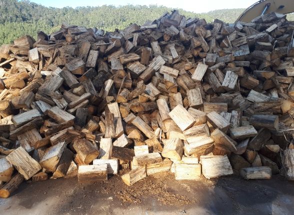 8 meter cut blue gum wood