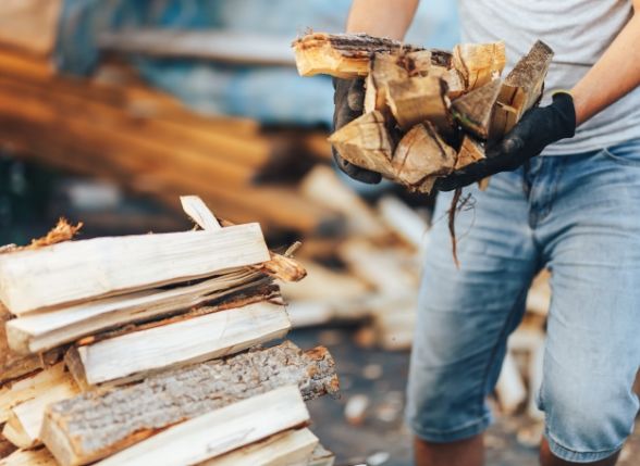 freshly cut hardwood