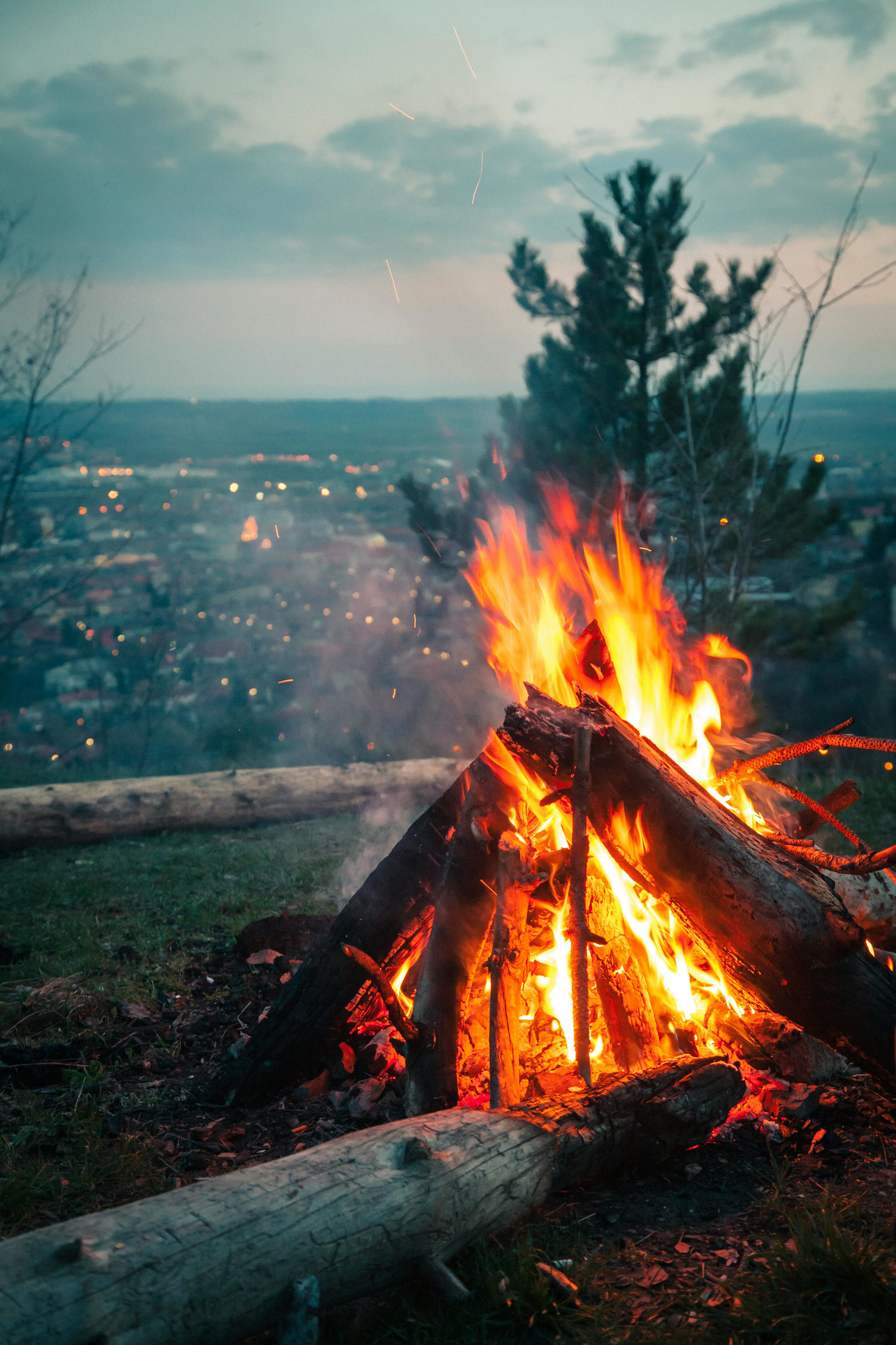 small log fire