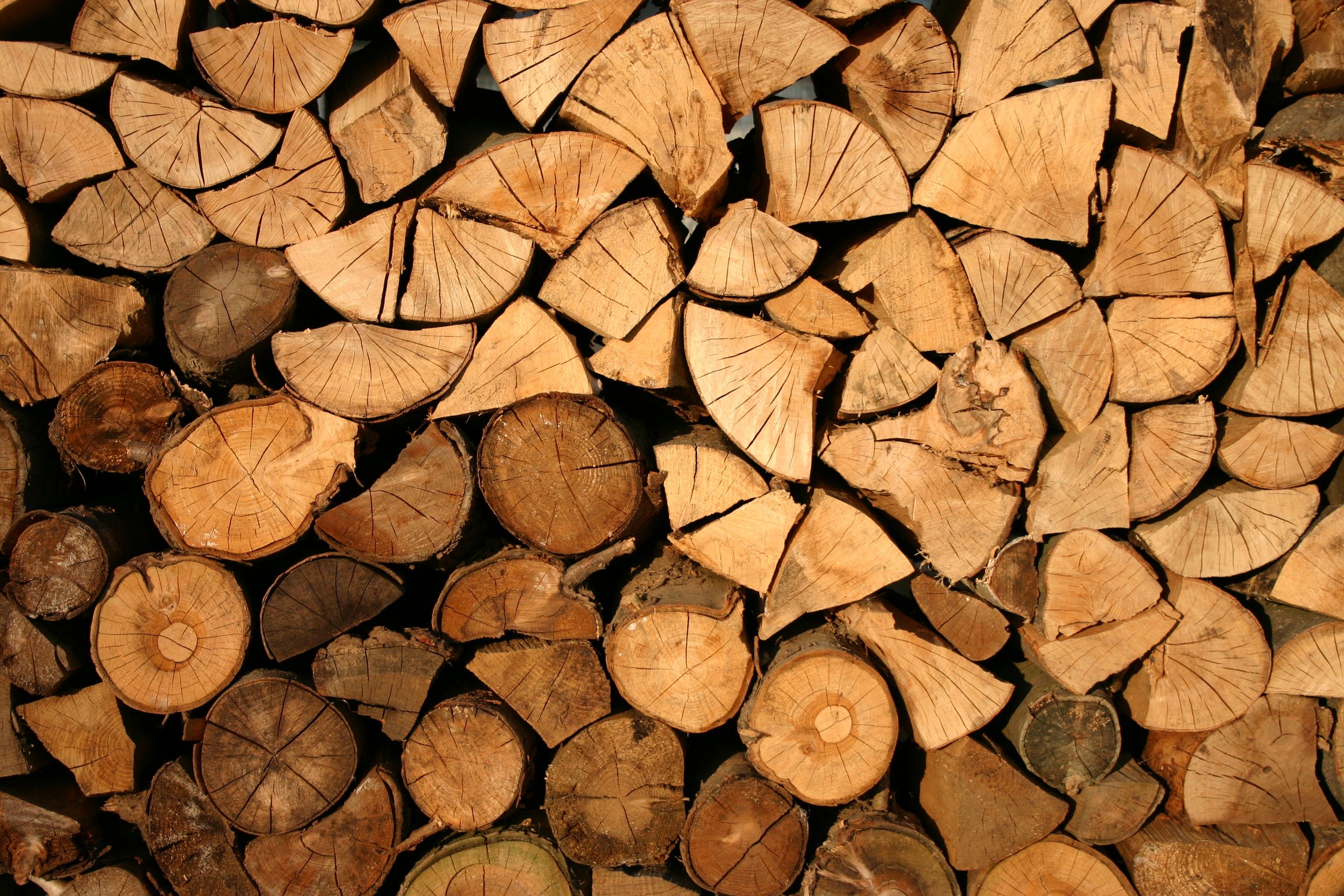 seasoned stacked firewood